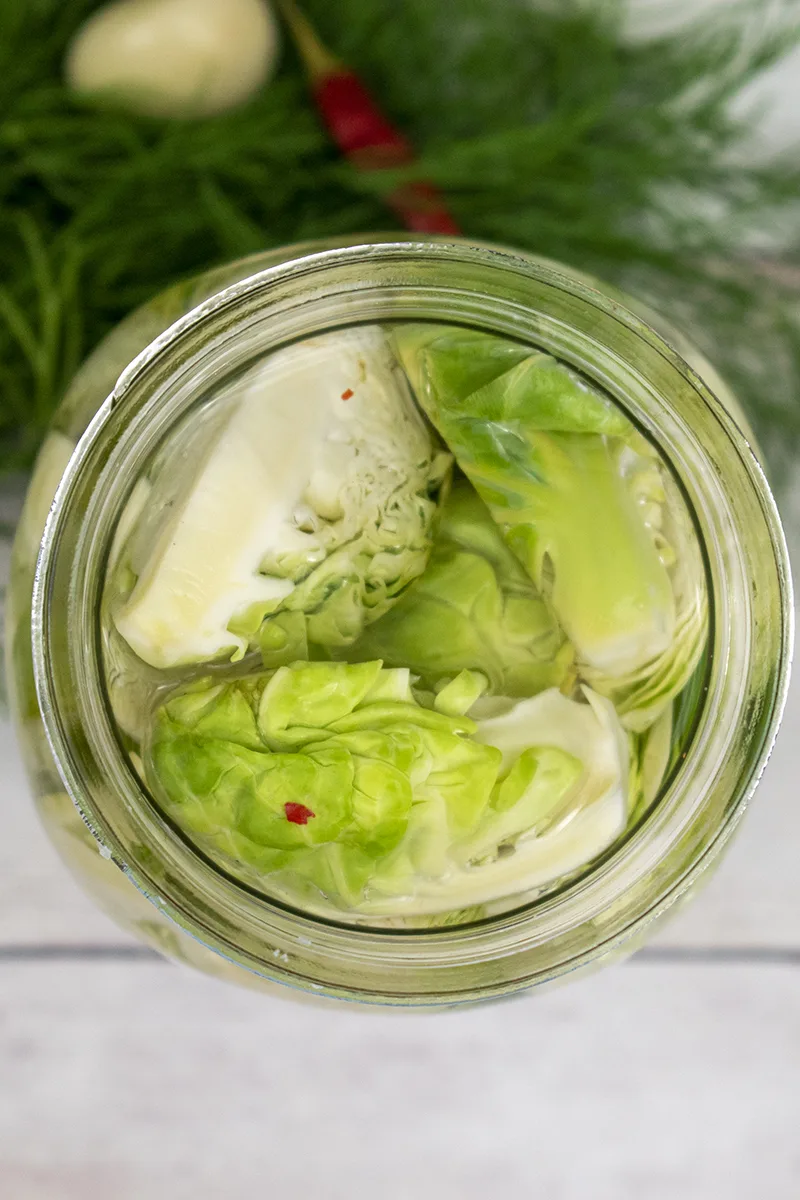 Overhead close up of jar filled with quartered quick pickled Brussels sprouts.