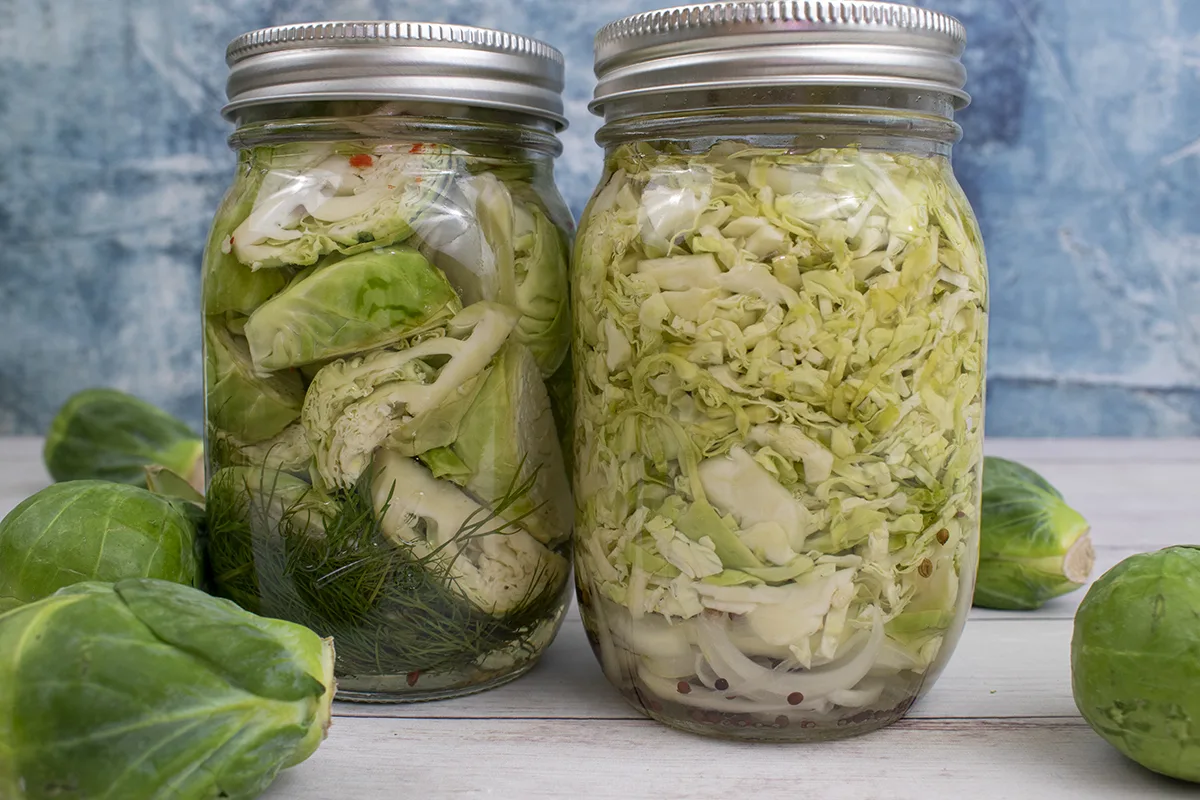Two jars of quick pickled Brussels sprouts on a white wood backdrop