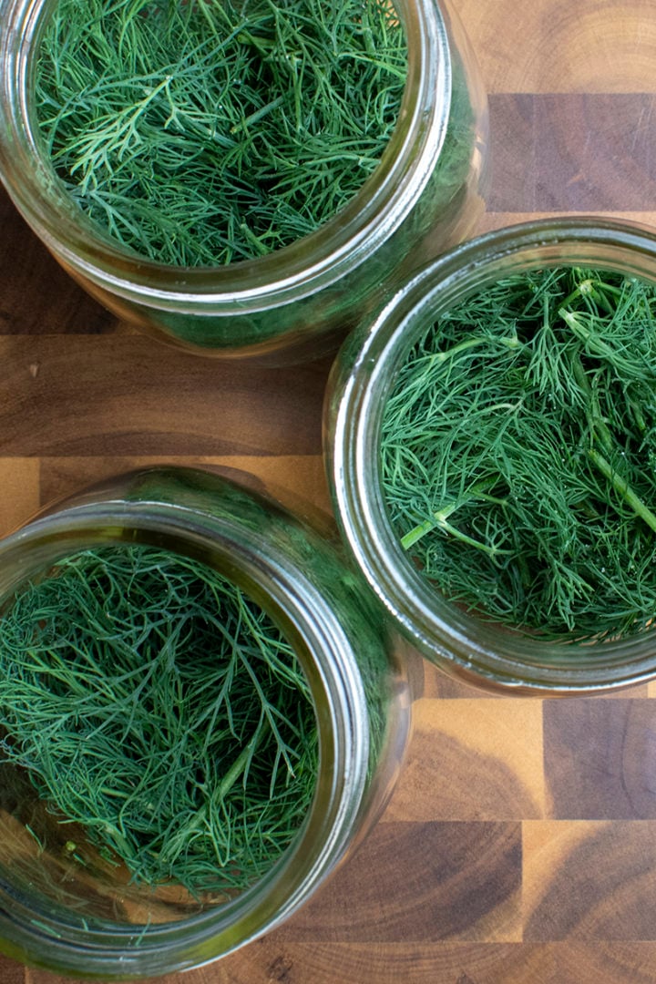 Easy 5Ingredient Quick Pickled Garlic