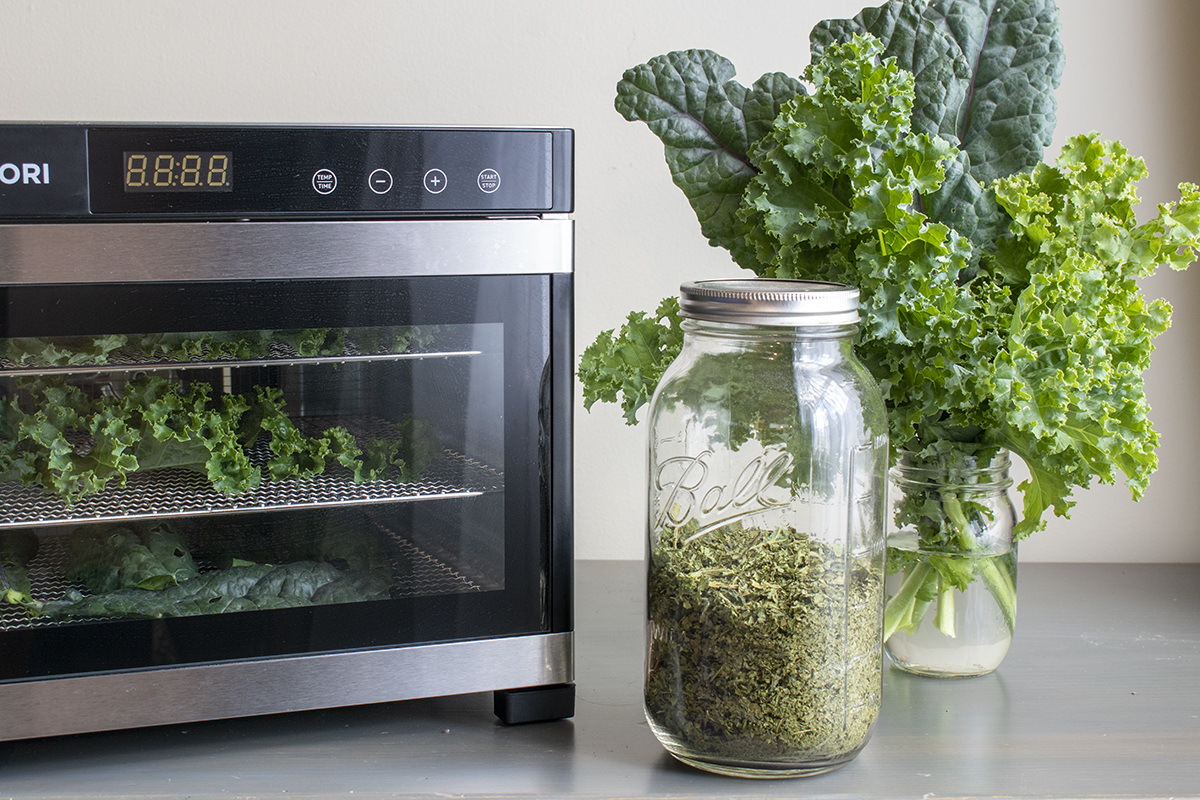 Dehydrator with kale inside it. Jar of dried greens and jar of fresh kale. 