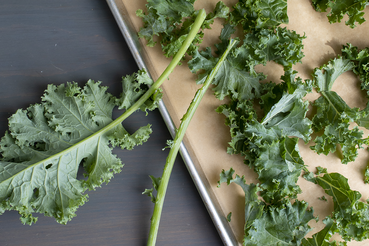 Torn kale pieces on a baking sheet next to a kale stem and leave.