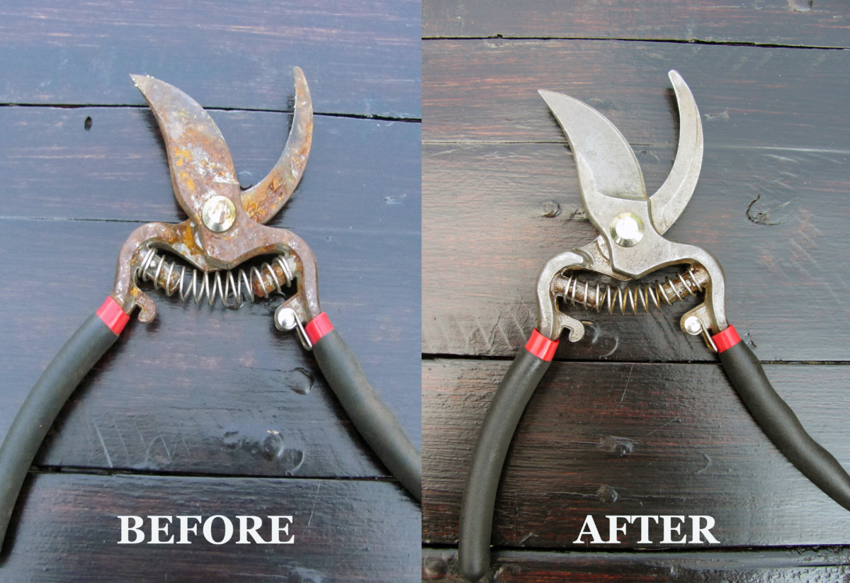 Before and after of pruning shears