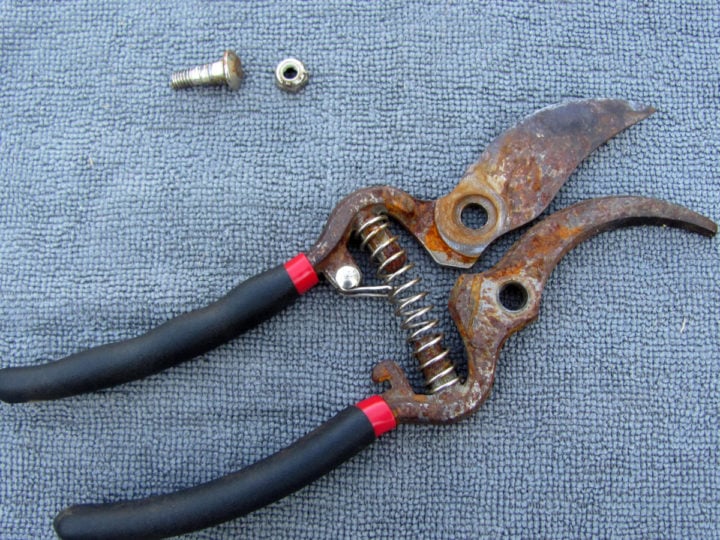 How to Easily Clean & Sharpen Your Pruning Shears