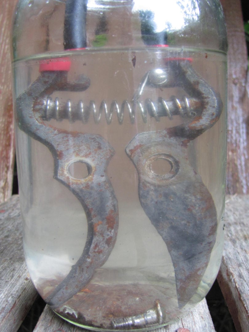 How to Easily Clean & Sharpen Your Pruning Shears