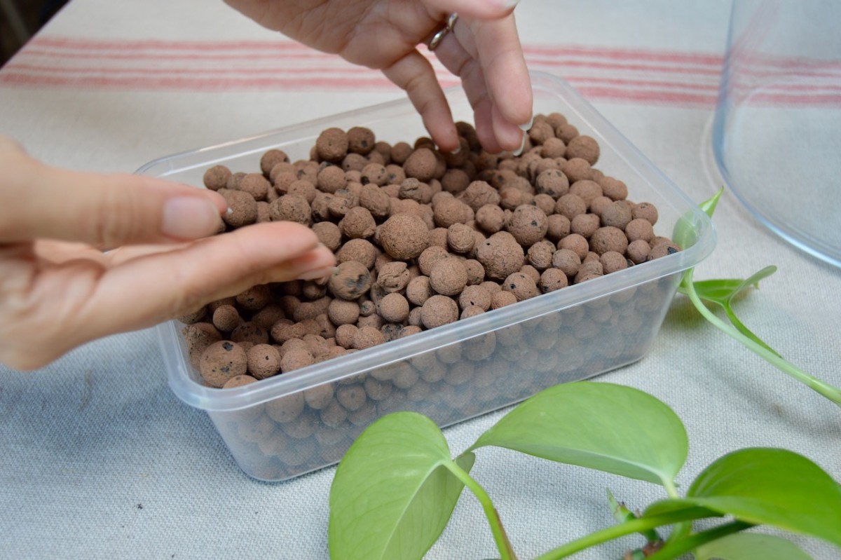 What is Leca Balls and How to Use it For Plants? – planterhoma