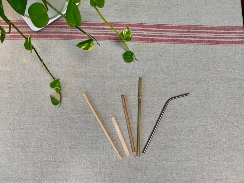 Why You Should Aerate Your Houseplant Soil (& How to Do It Properly)