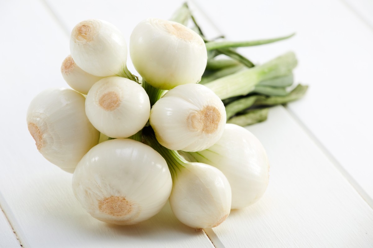 Bunch of white pearl onions