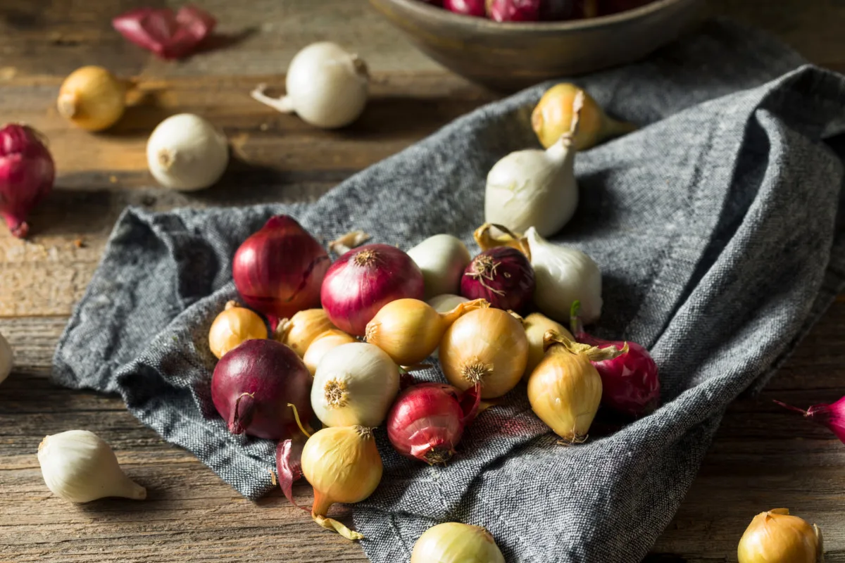 A rustic kitchen table top sprinkled with white, yellow and red pearl onions. 