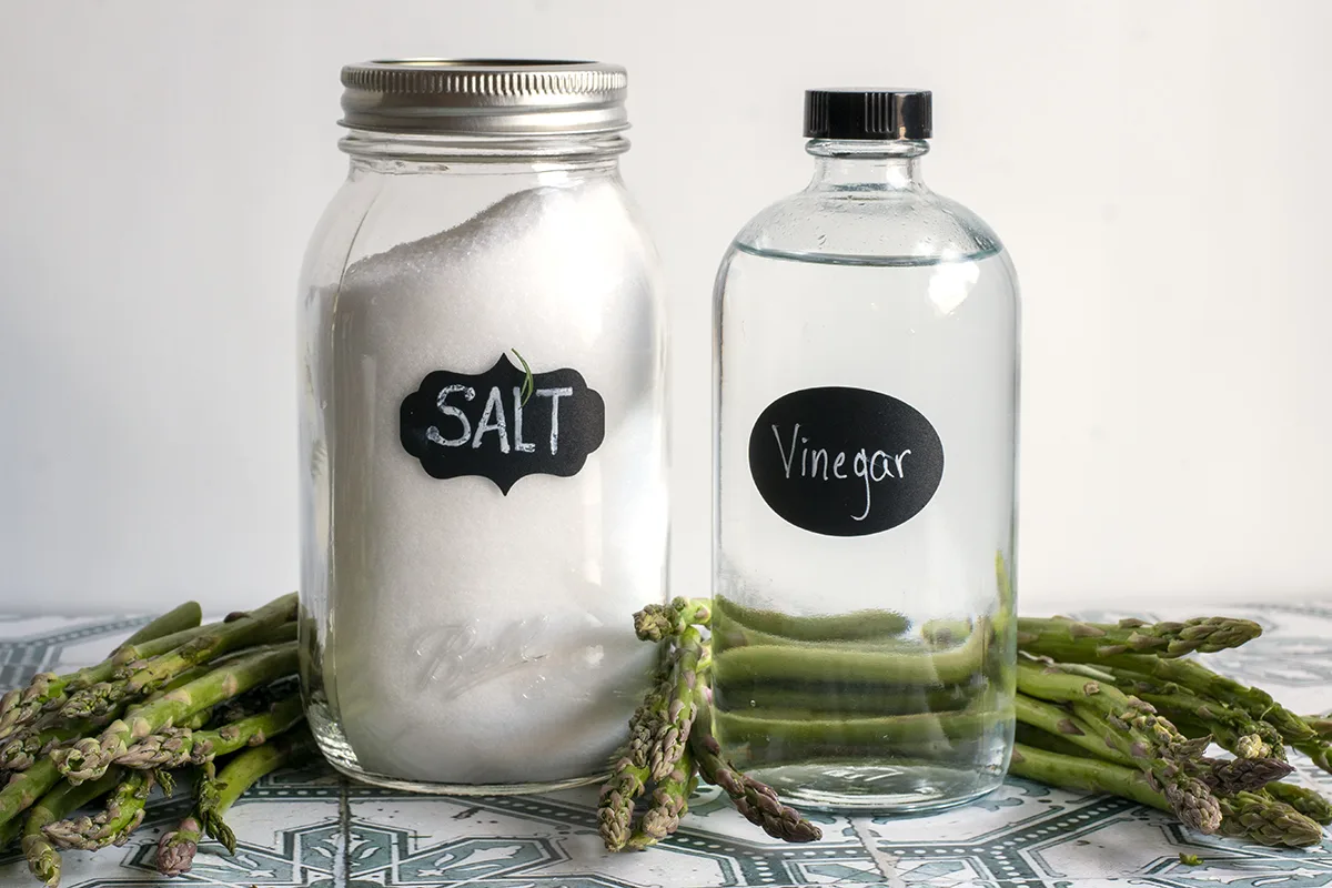 Jars of salt and vinegar surrounded by asparagus spears. 