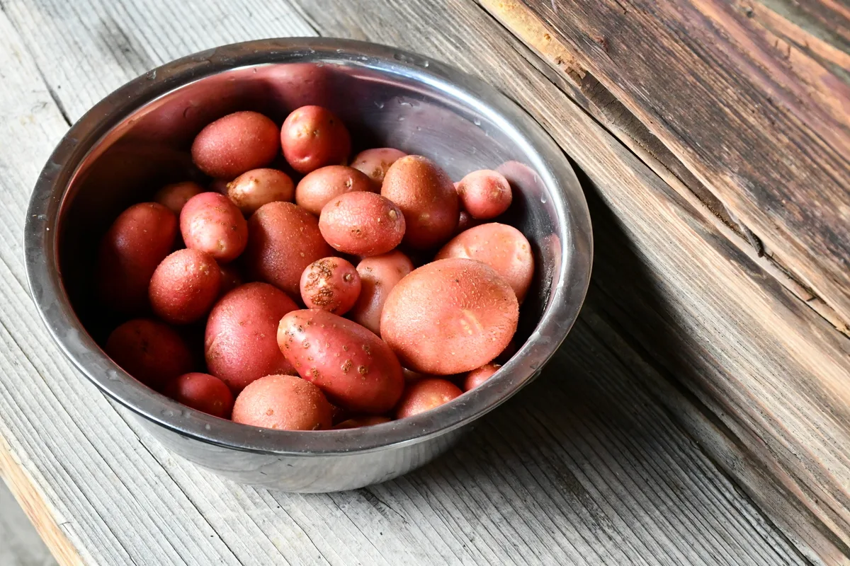Bowl of freshly washed and scrubbed potatoes.
