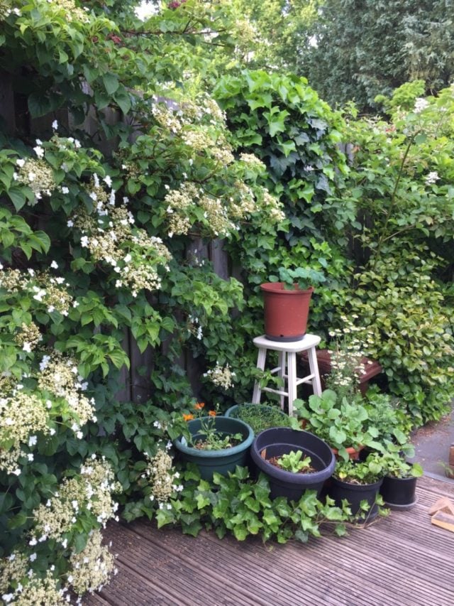 8 Uses for Old Potting Soil (+ 2 Things You Should Never Do With It)