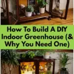 How To Build A DIY Indoor Greenhouse (& Why You Need One)