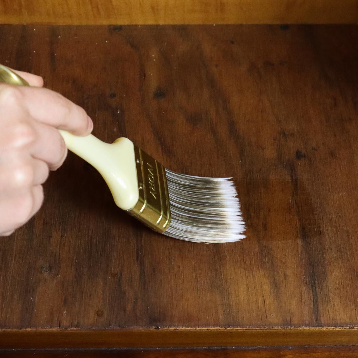 Hand holding paint brush, varnishing the cabinet.