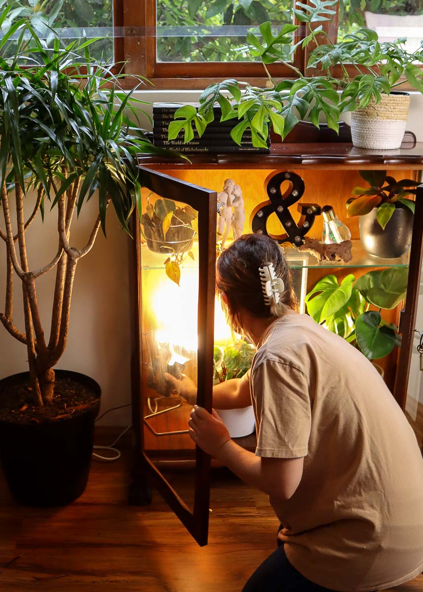 Young woman adjusting grow light in cabinet.