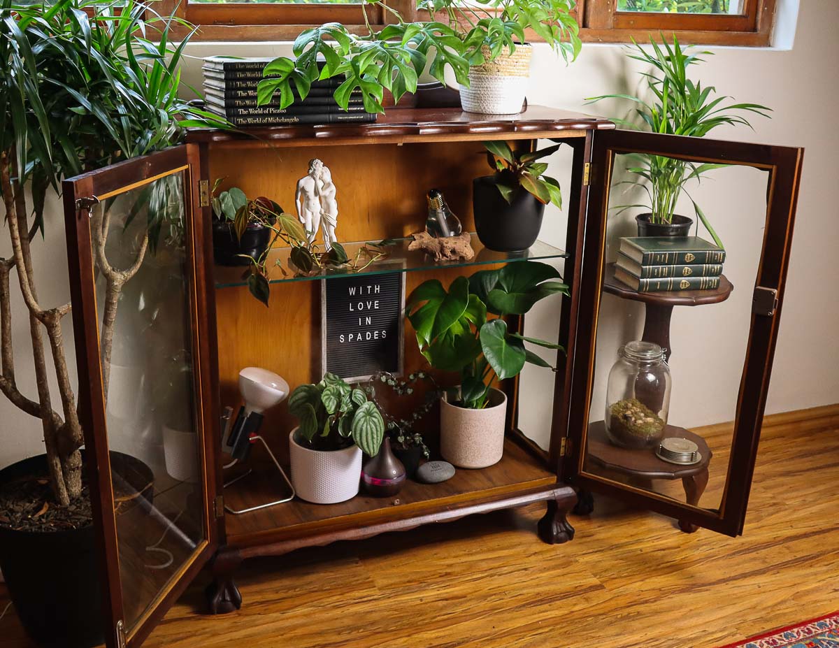 Beautiful old cabinet converted to an indoor greenhouse, filled with plants and decorations. 