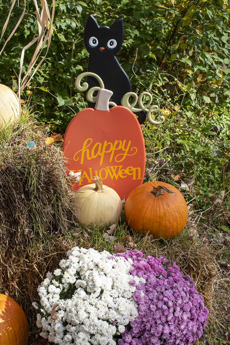 A display of pumpkins, mums, haystacks and a tin sign with a cat on a pumpkin reading "Happy Halloween"