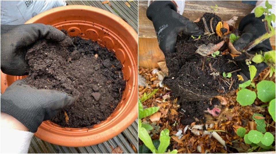 8 Uses for Old Potting Soil (+ 2 Things You Should Never Do With It)