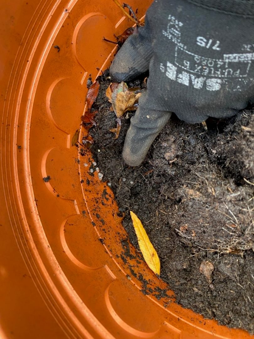 8 Uses for Old Potting Soil (+ 2 Things You Should Never Do With It)