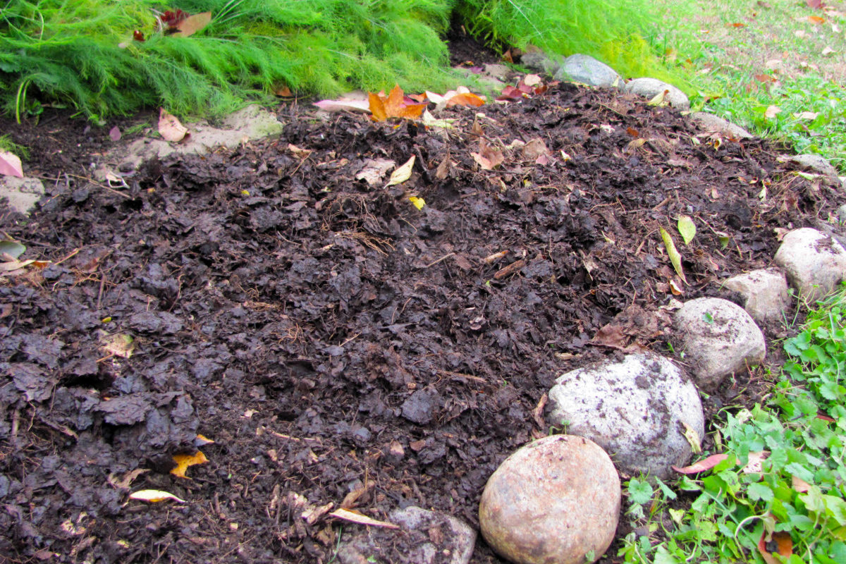 A garden bed lined with round stones has been covered with leaf mold as a mulch.