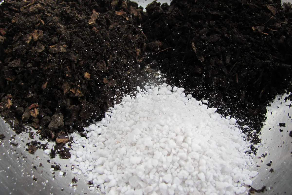 A scoop of compost, a scoop of leaf mold and a scoop of perlite to be mixed up and used as potting soil.