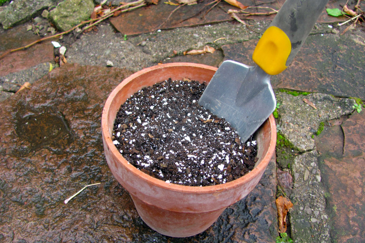 A terracotta pot with a trowel in it and the resulting potting soil.