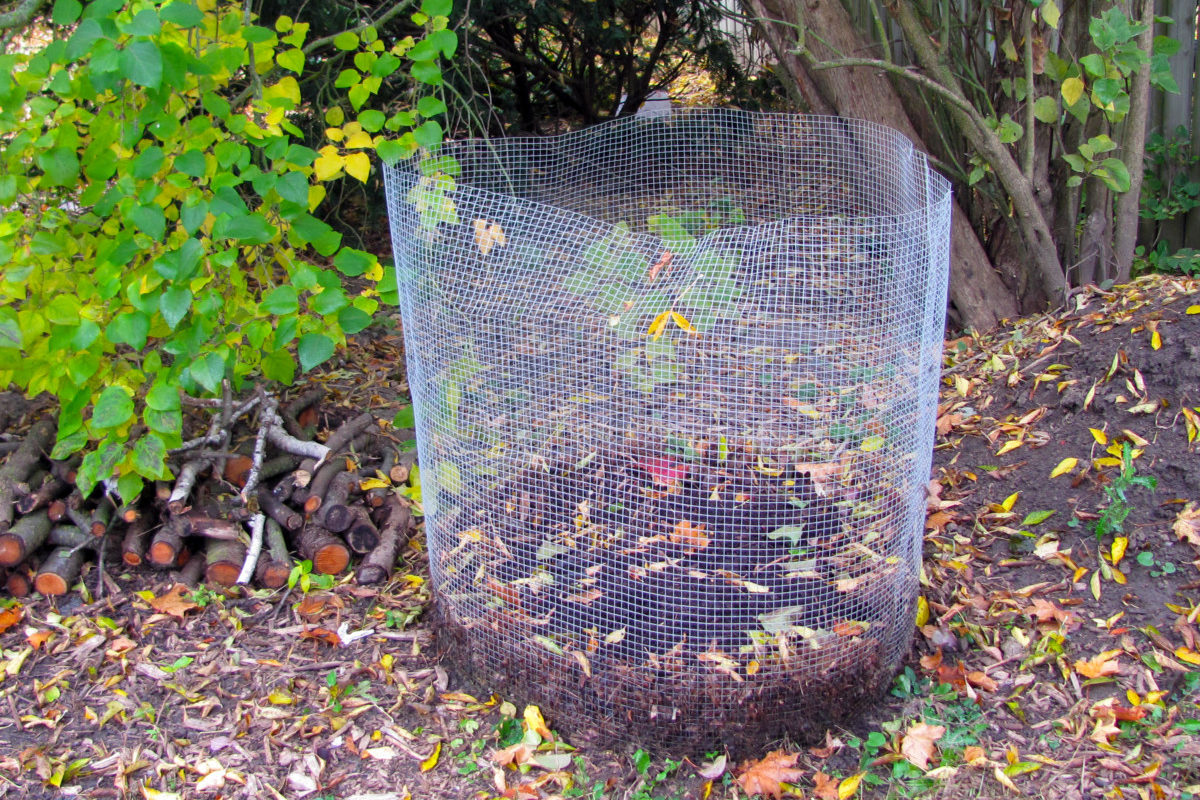 Side view of a leaf mold bin made of hardware cloth. The leaf mold has compacted at the bottom. 