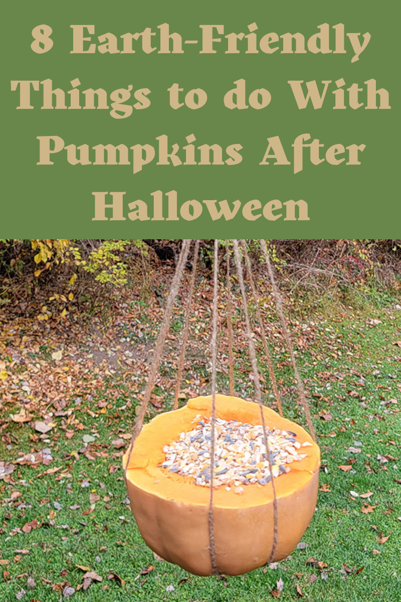 7-frighteningly-clever-things-to-do-with-pumpkins-after-halloween