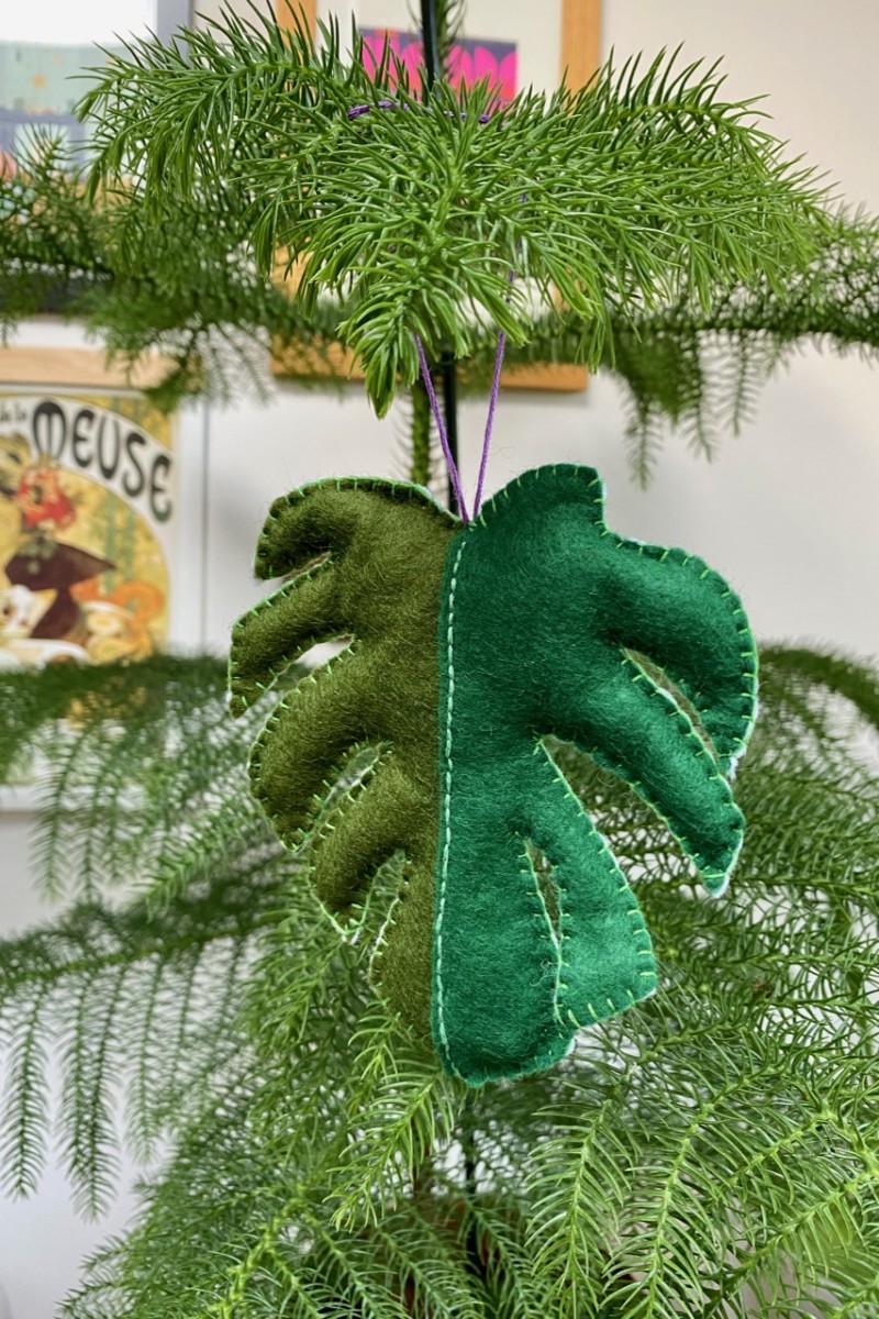 A handmade decoration on a Norfolk Island pine tree. 