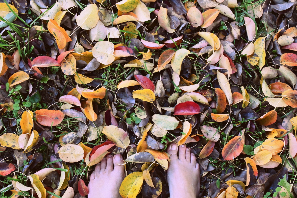 Bare feet standing in leaves on the grass.