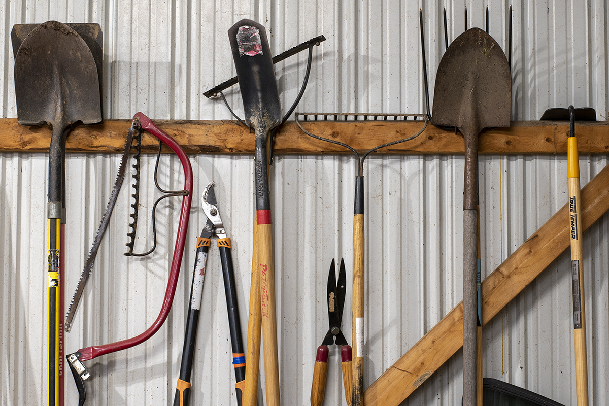 Gardening tools hung in a shed.