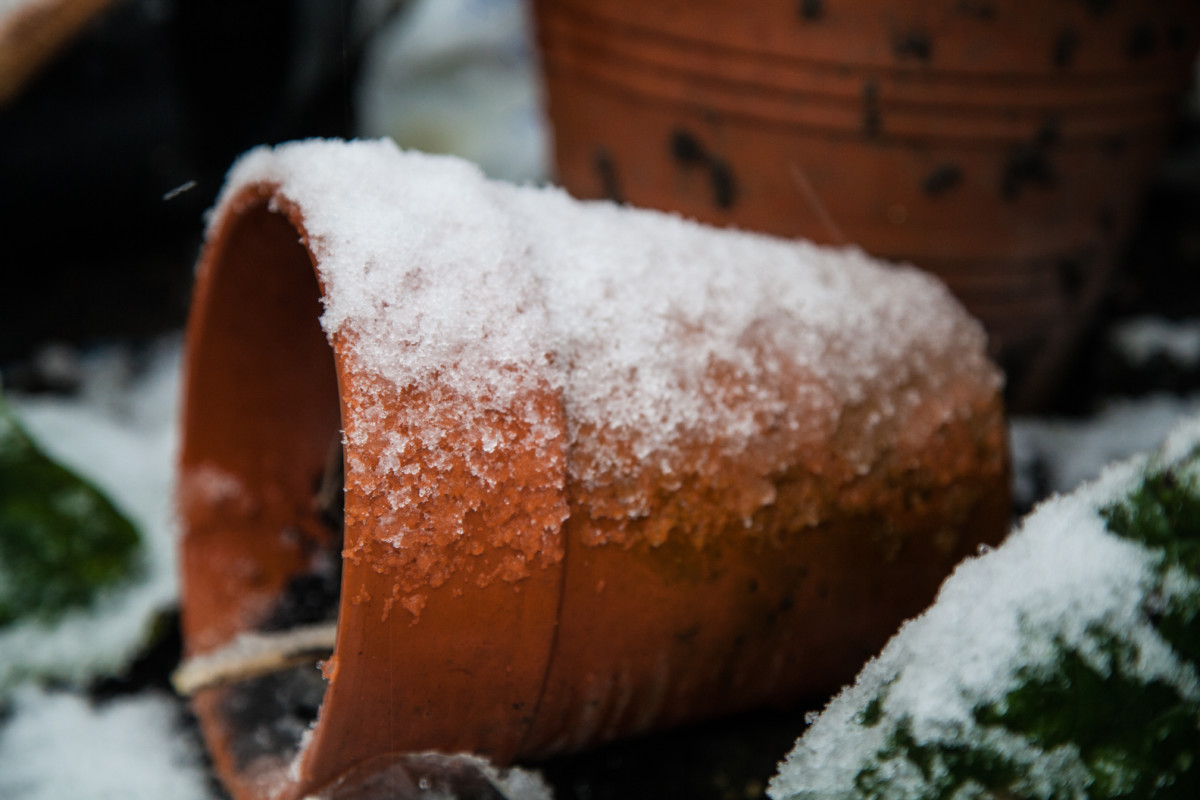 Terracotta pot covered in snow.