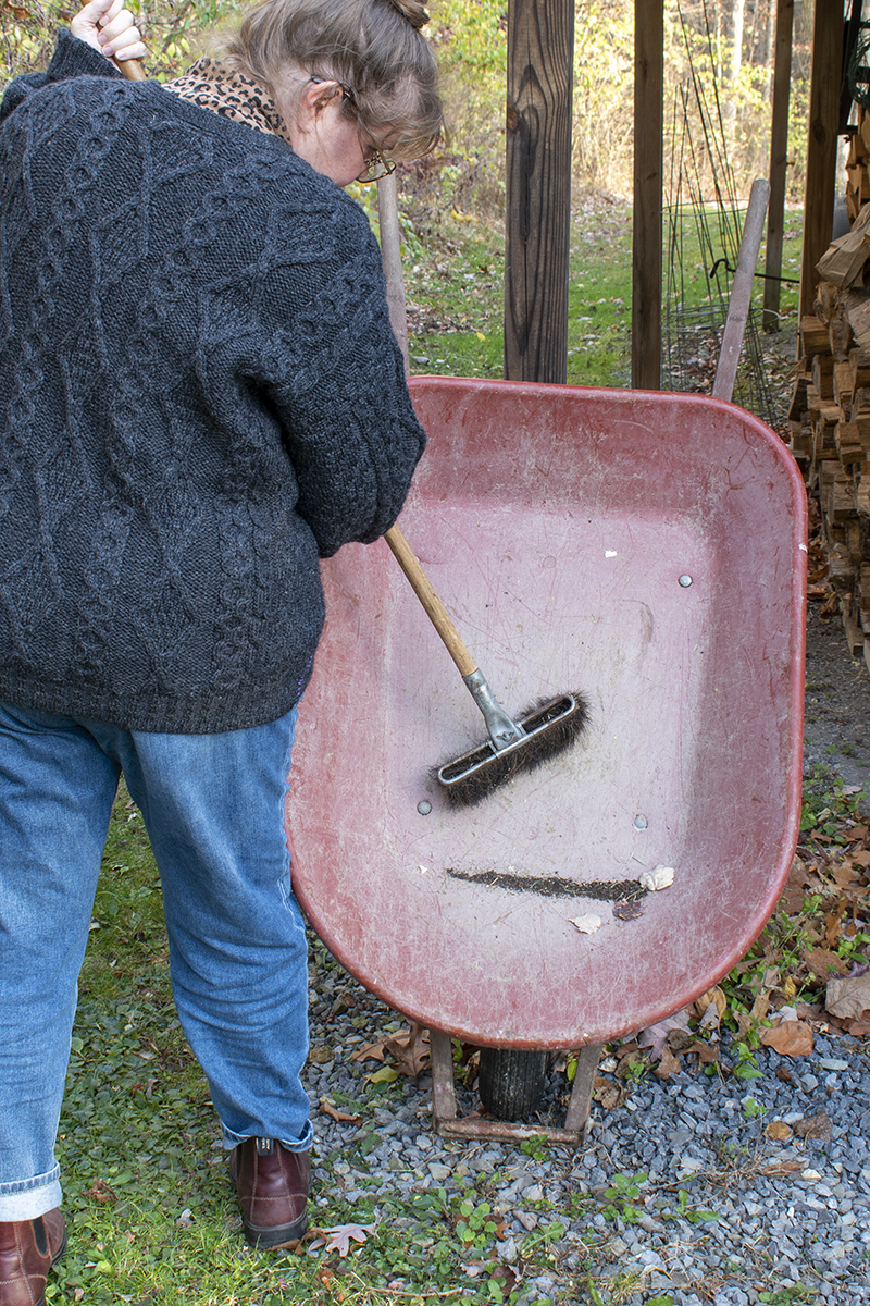 Author sweeping out the tray of a wheelbarrow.