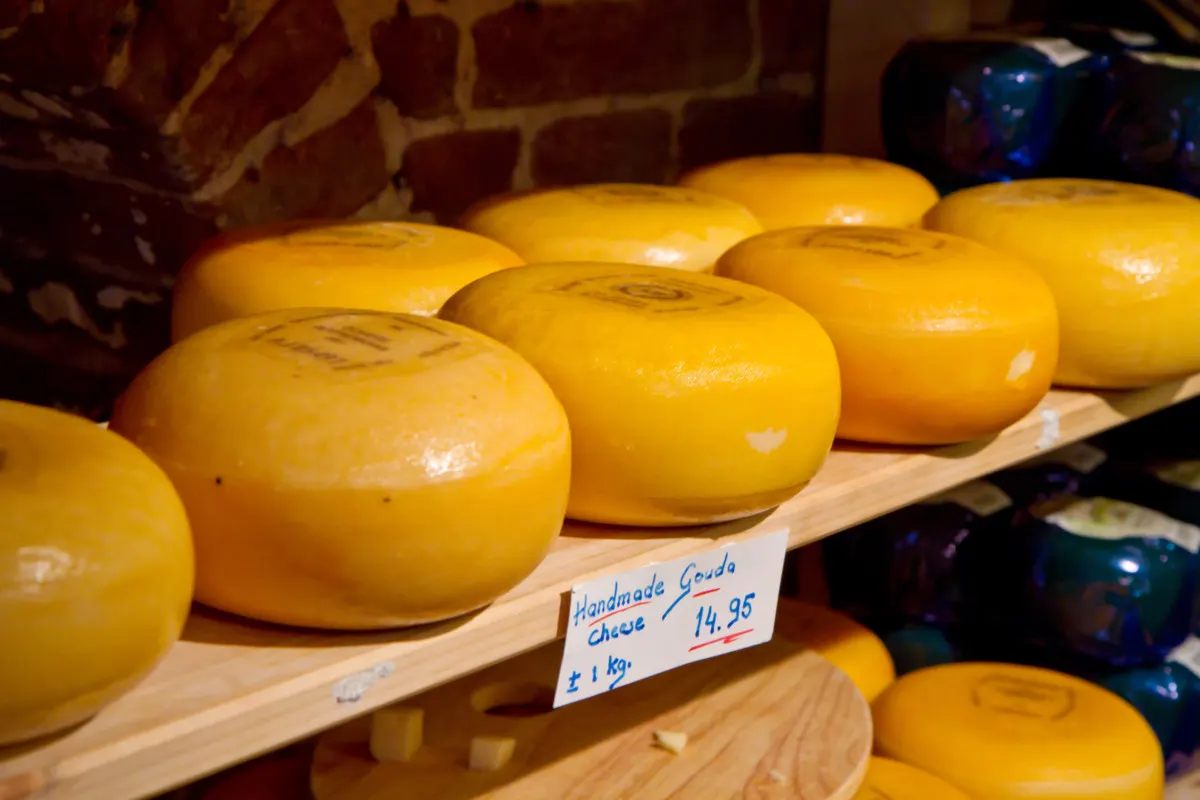 Waxed wheels of gouda cheese on a shelf in a shop. 