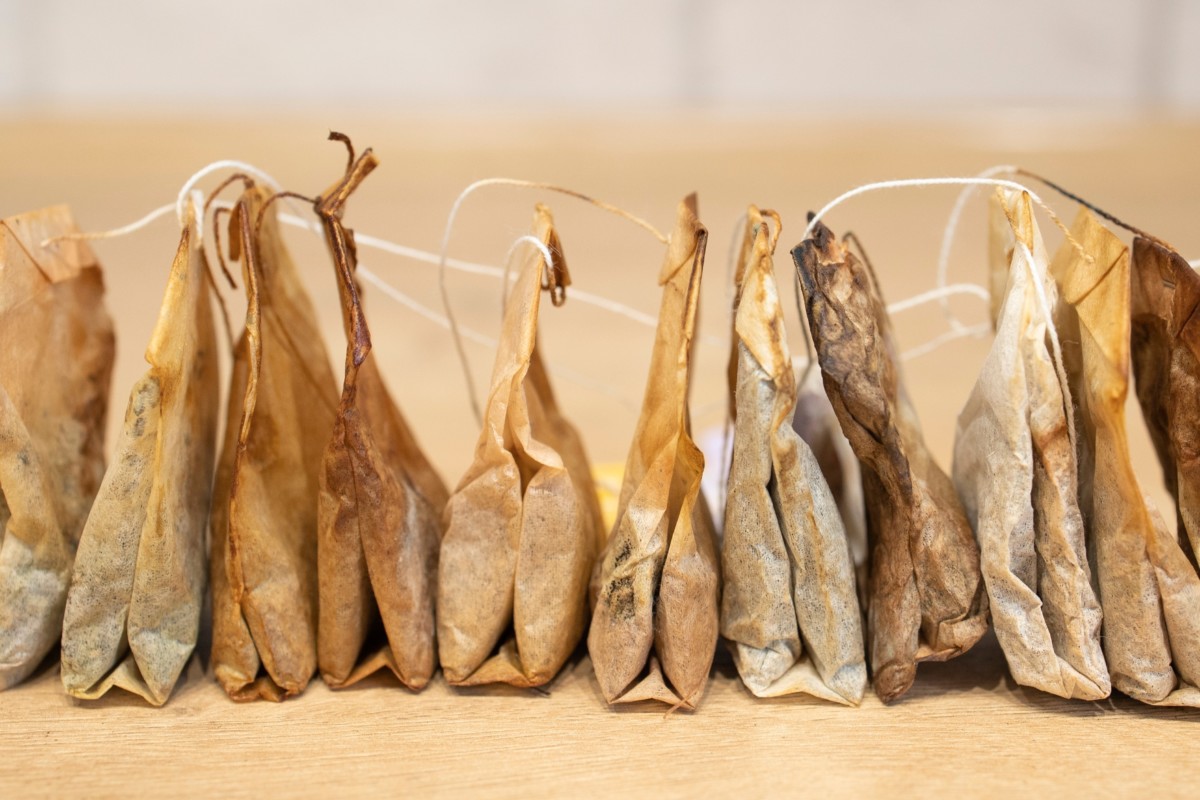 A row of used tea bags on a countertop