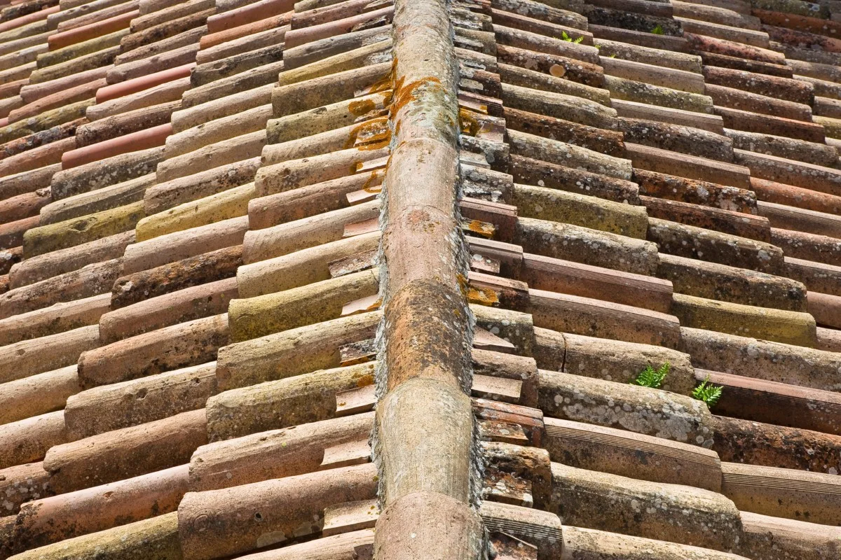 A roof made with terracotta tiles