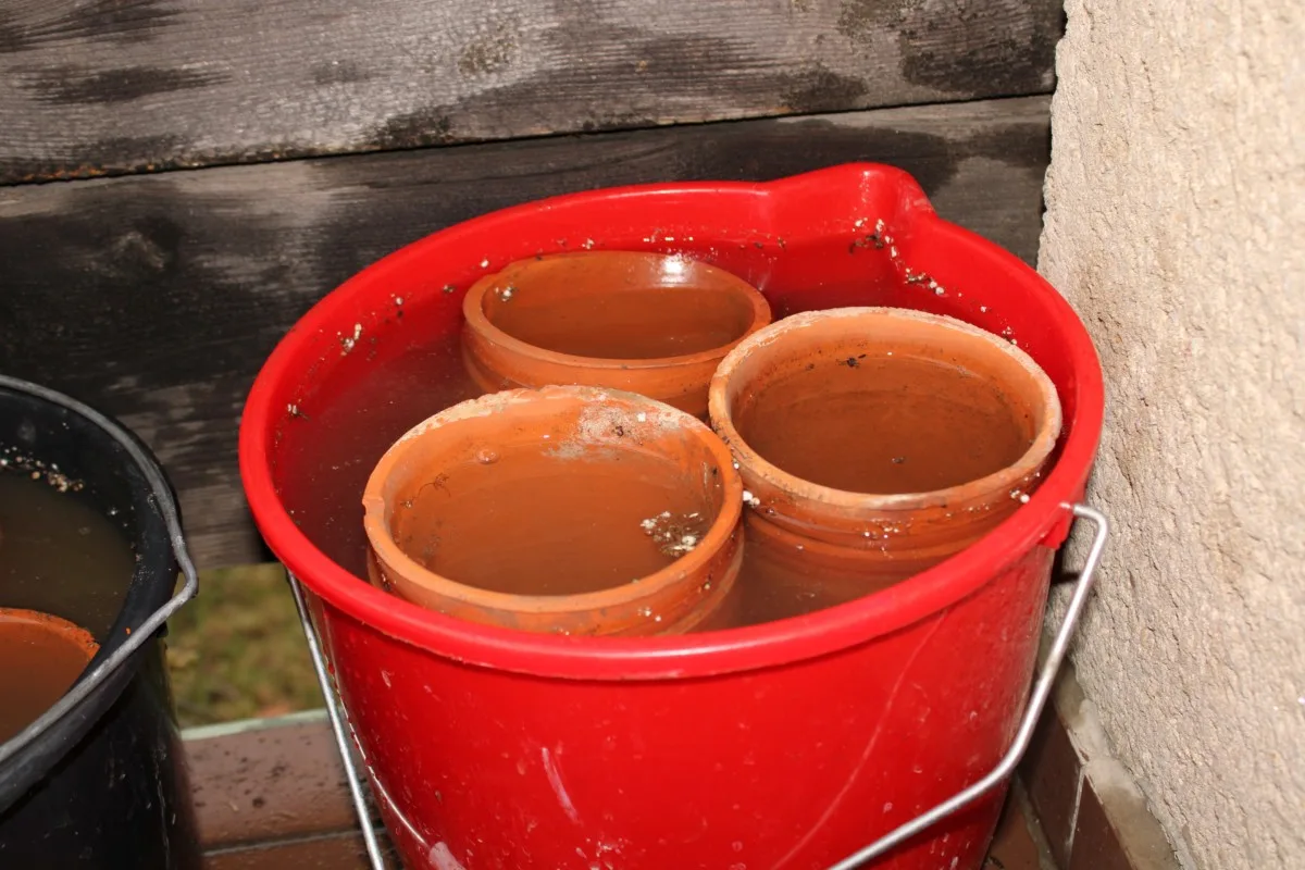 A red bucket filled with water and terracotta pots soaking.