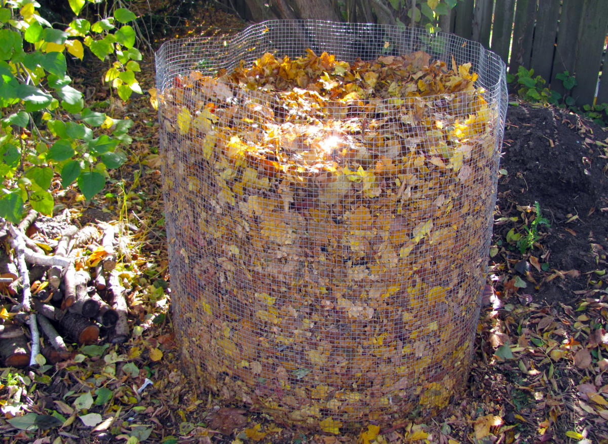Leaf mold bin filled to the top with dried leaves.