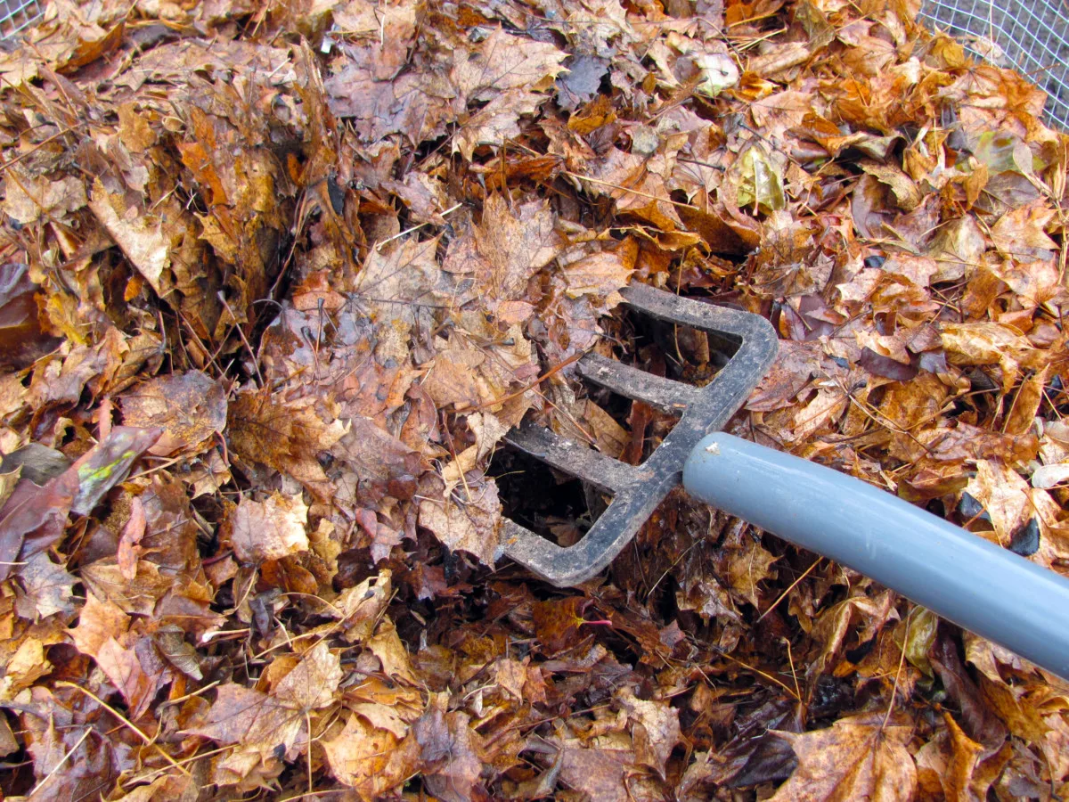 Pitch fork turning damp leaves.
