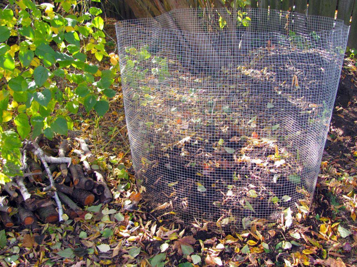 A small leaf mold bin made from hardware cloth.