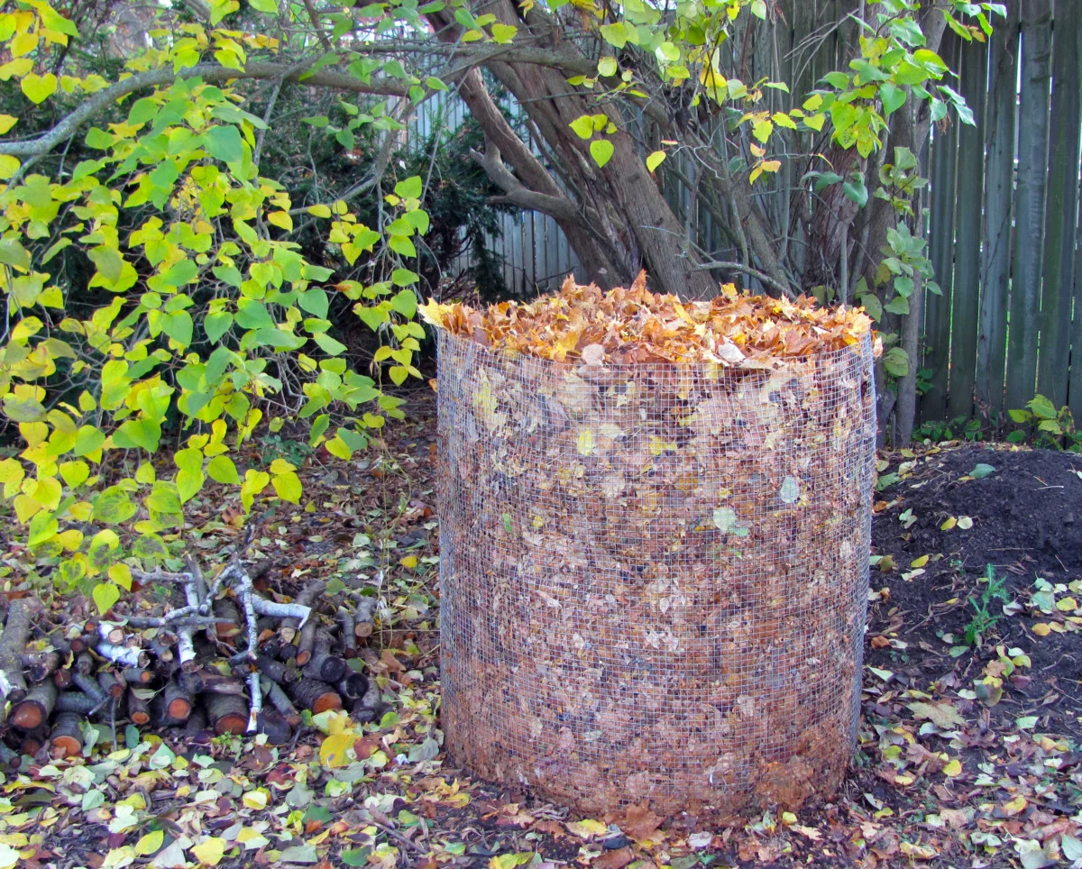Leaf mold bin set up beneath trees. 