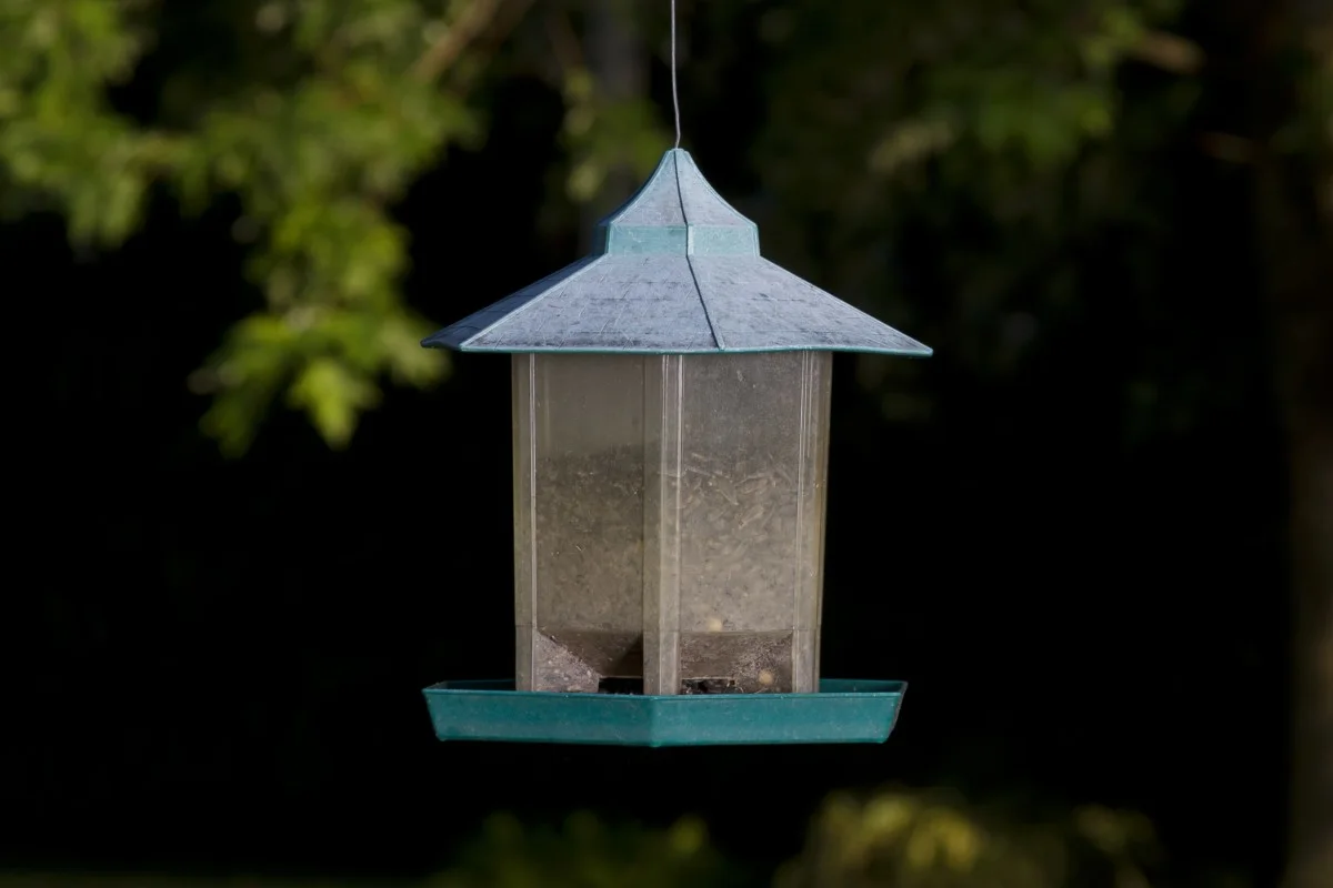 Dirty bird feeder filled with seed. 