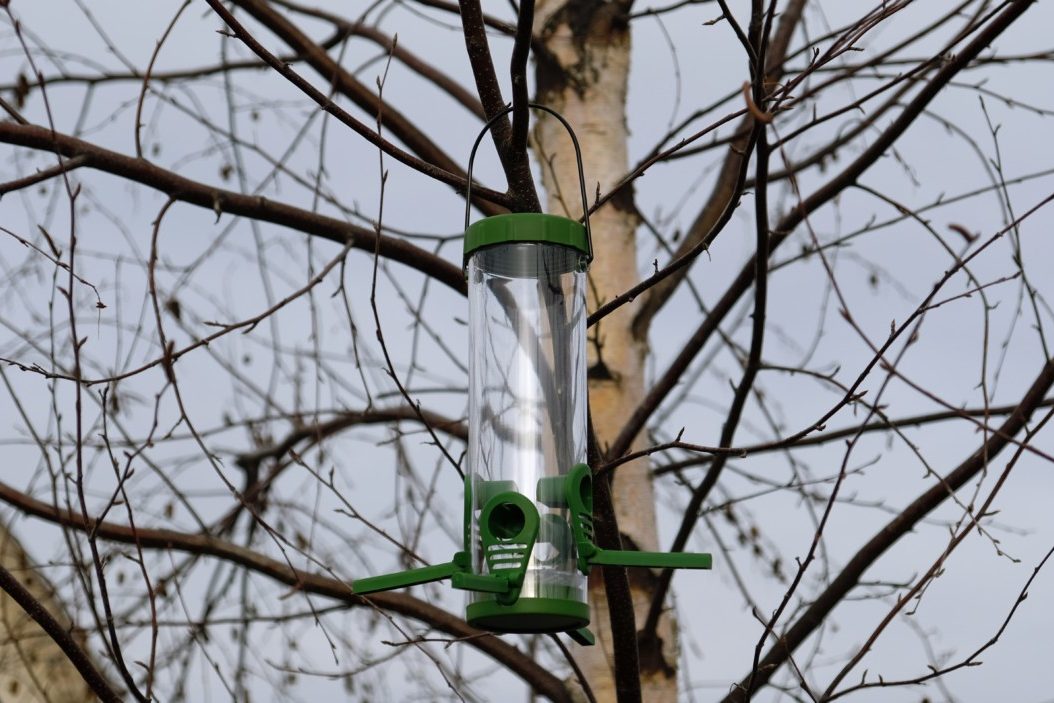 Empty bird feeder hanging in trees. 