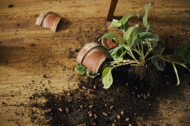 10 Brilliant & Practical Ways to Reuse Broken Terracotta Pots