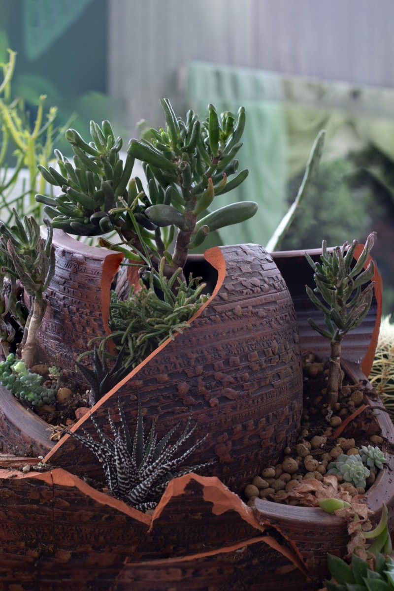Succulent garden made out of broken pot