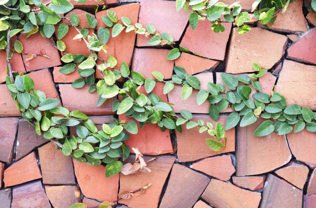 10 Brilliant & Practical Ways to Reuse Broken Terracotta Pots