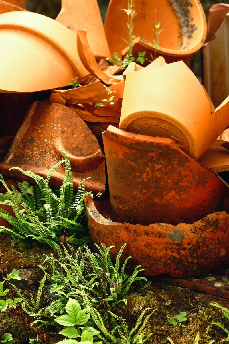 Pile of busted clay pots with weeds growing up among them. 