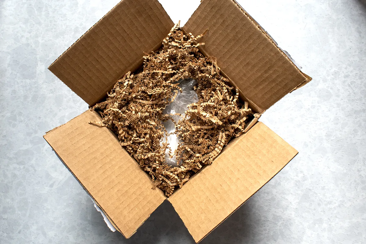 Box with paper packing material protecting the Christmas cactus cuttings inside it. 
