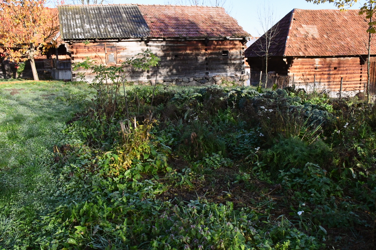 A homestead with a no-dig garden.