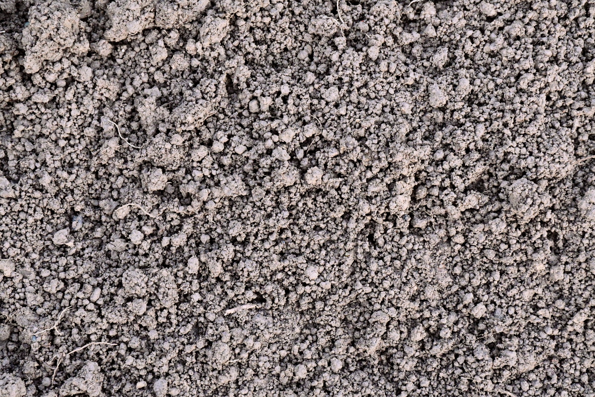 Overhead view of crumbly earth.