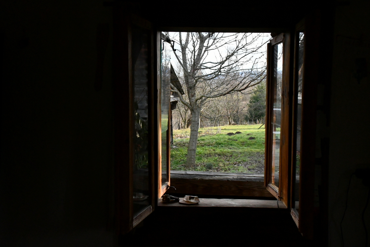 Interior of house looking out the window at a green yard with trees. 